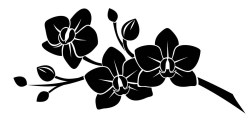 sjbln02 sjabloon_bloemen-2-01